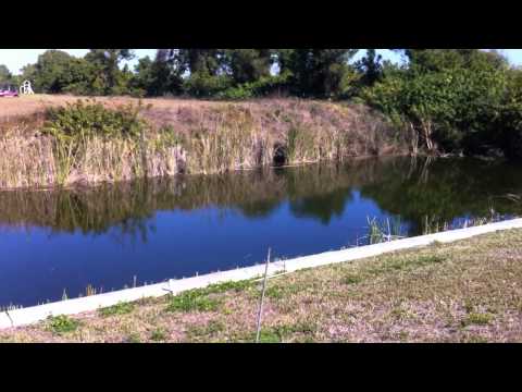 Villa Anja Cape Coral