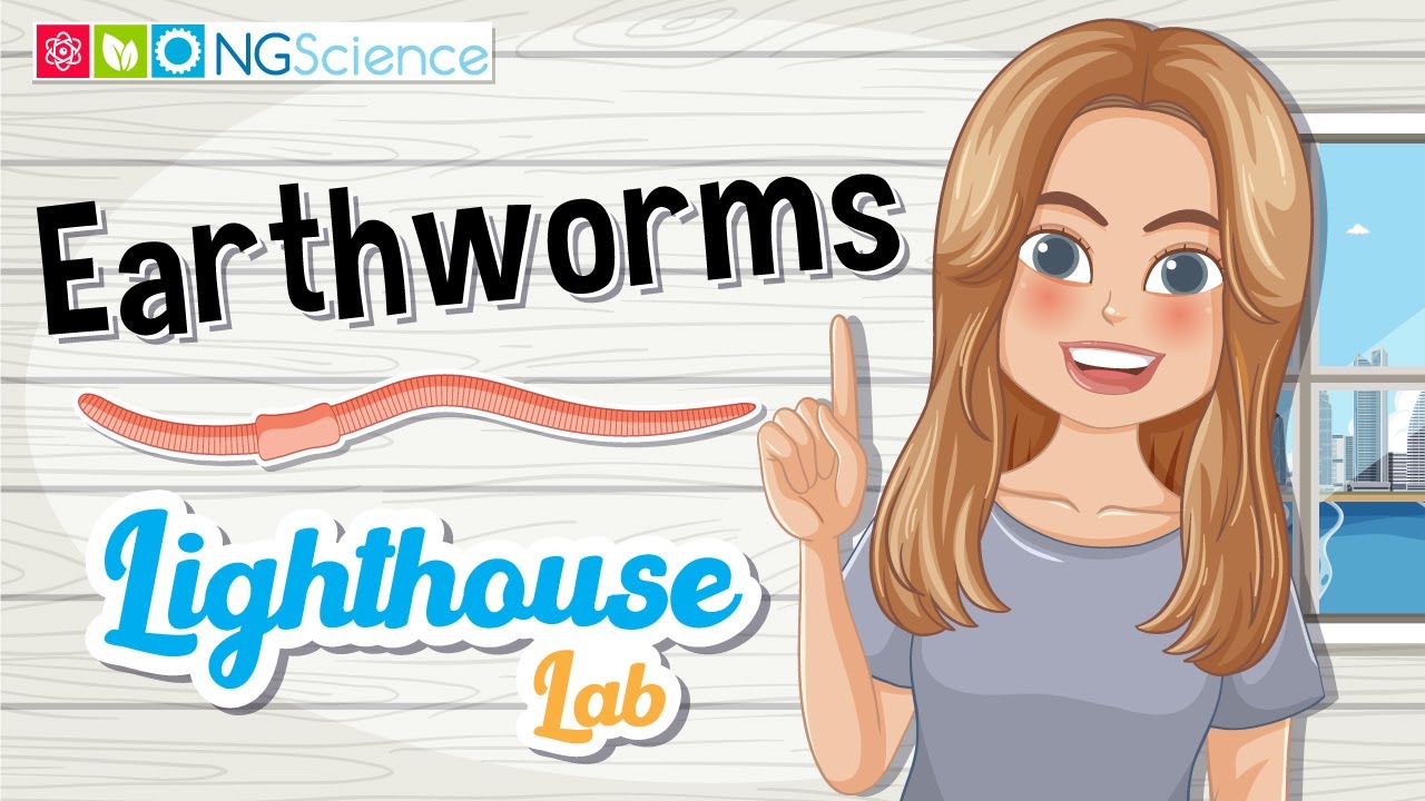 Lighthouse Lab – Earthworms
