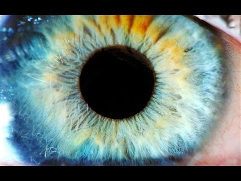 Spekta - Don't You See feat. Farisha