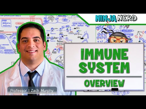 Immunology | Immune System: Overview