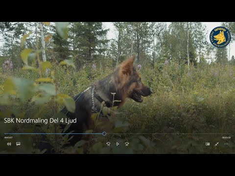 SBK Nordmaling Del 4 Ljud