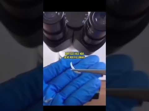 Por isso Você não deve Roer As UNHAS! #Shorts #curiosidades #microscopio #unhas