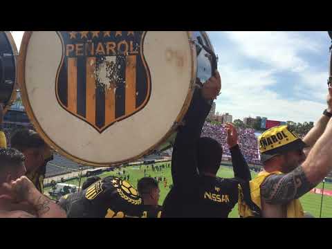 "Entrada bombos peñarol vs nacional 2019" Barra: Barra Amsterdam &bull; Club: Peñarol