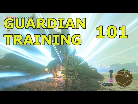 Zelda BOTW: How to Kill Guardians for Every Player In Depth