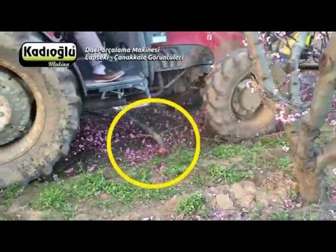 Dal Parçalama Makinesi - Lapseki Çanakkale