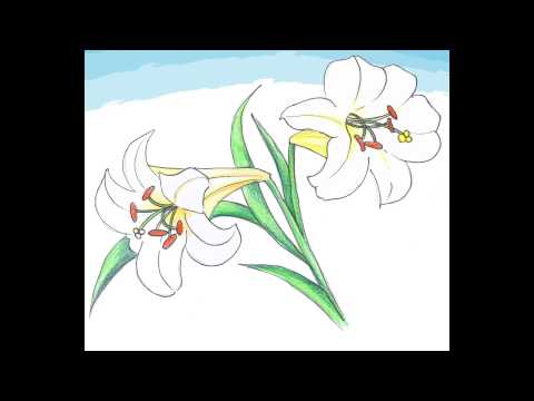 歌謠篇 大武魯凱語 08bangabangale 百合花
