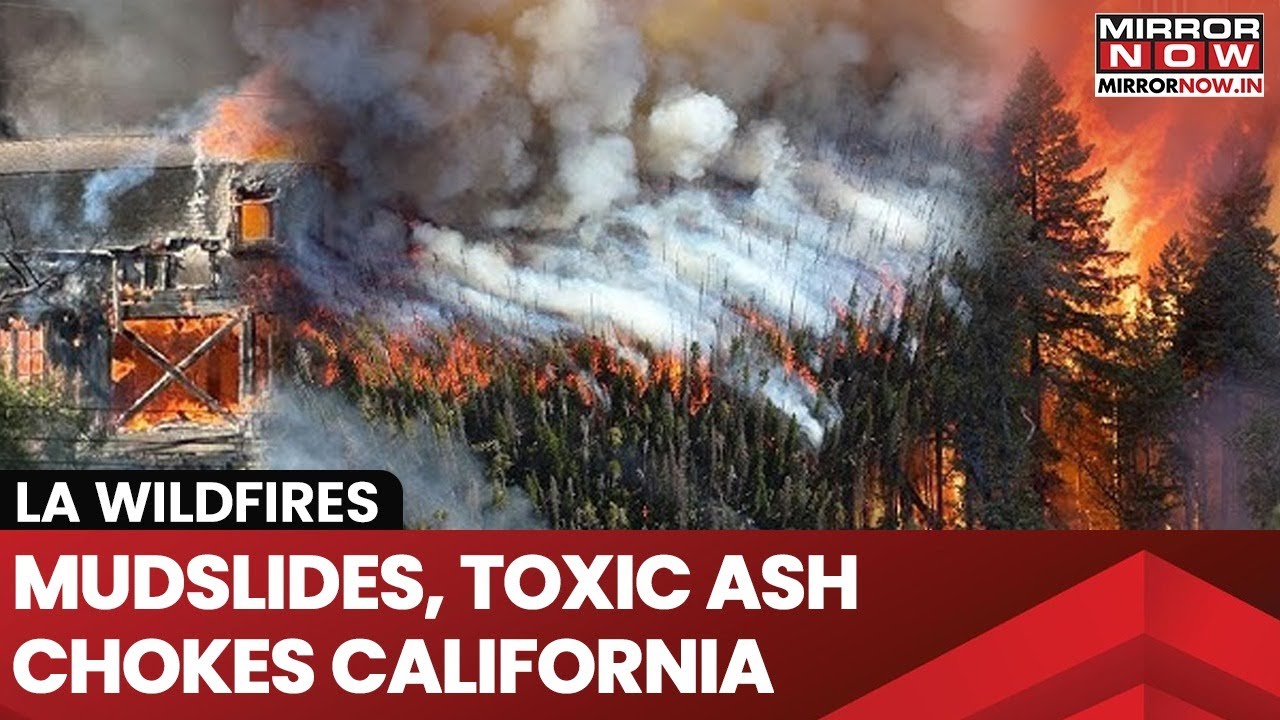 LA Wildfires: Southern California Rain Eases Wildfires, Triggers Toxic Ash Runoff And Mudslide Risks