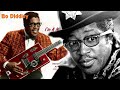 The Life and Tragic Ending of Bo Diddley