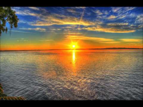 Henry Theel: Aamun koi 1953