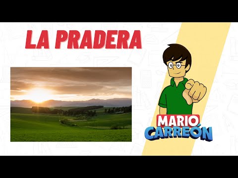 La Pradera