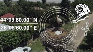 Enel &amp; The Ornithological Society of Romania &quot;The Nest Address&quot; (Publicis Romania)