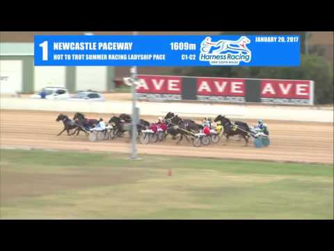 NEWCASTLE - 20/01/2017 - Race 1 - HOT TO TROT SUMMER RACING LADYSHIP PACE