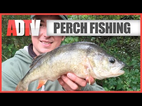 How To Catch Perch - Perch Fishing Tips