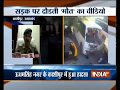 CCTV: School kid, driver killed as bus collides with tempo in Uttarakhand