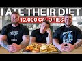I swapped diets with the WORLD'S STRONGEST MAN | Tom & Luke Stoltman | 12,000 CALORIE STRONGMAN DIET