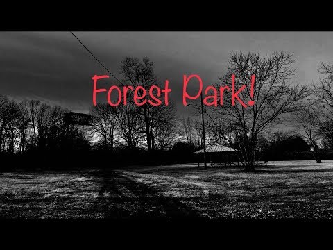 Forest Park Mini Investigation in Lincoln Park, MI
