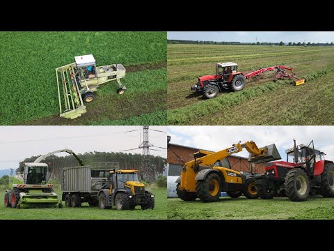 SENÁŽE 2023 I Jakos A.S. I Fortschritt E303, CLAAS Jaguar 850, Zetor 7745, ZTS 16245