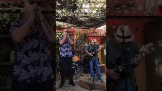 James Cotton (playing some Cotton style- Midnight Creeper) #blues #harmonica #harmonicaplayer #harp