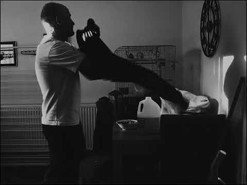 Flynn Johnson - D'PRESSED JEWELZ w/ ROC (Visulaizer)