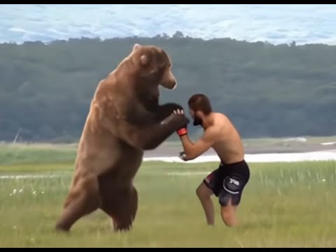 If the internet could dream Conor Mcgregor Khabib Nurmagomedov fight a bear