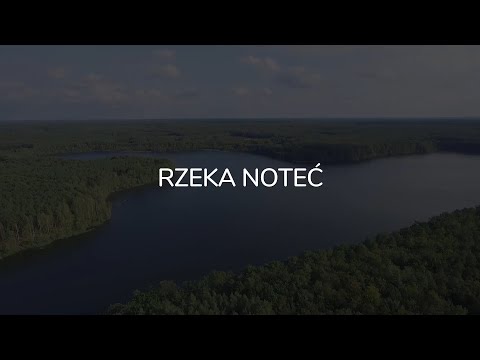 Rzeka Noteć