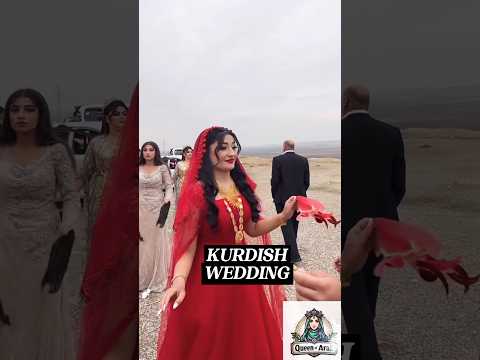 Kurdish Wedding Couple #shorts #wedding #kurdistan #کردستان