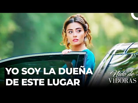 Elvan Entra En La Mansión - Nido De Víboras