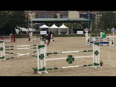 Loui Ln (6yo) winning round [ kannan x Bijoux ]