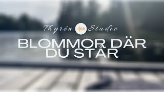 Blommor Där Du Står - GAMMAL / COVER