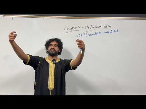 2025-2026 MCAT General Biology, Chapter 5- The Endocrine System (Part 2)