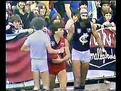 1982 Rnd12  Essendon v Carlton