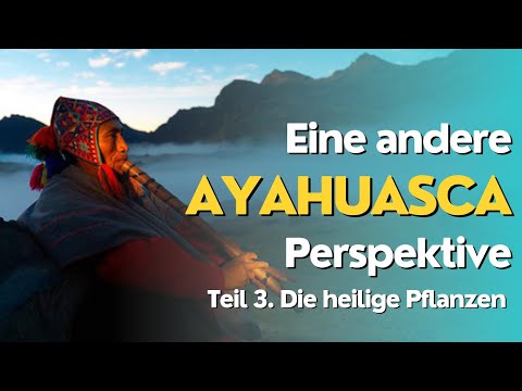 Teil 3. Ayahuasca: Die heilige Pflanzen