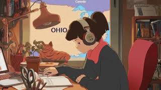 Swag Like Ohio - Lofi Remix