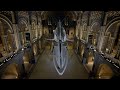Mysteries Of The Natural History Museum Hope The Whale Dinosaurs Ancient Discoveries