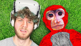 The WEIRDEST Gorilla Tag Fan Game... MQDEFAULT Thumbnail