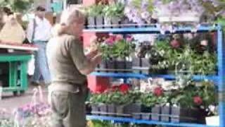 Marché Jean-Talon - Montréal - Barrio de Tango