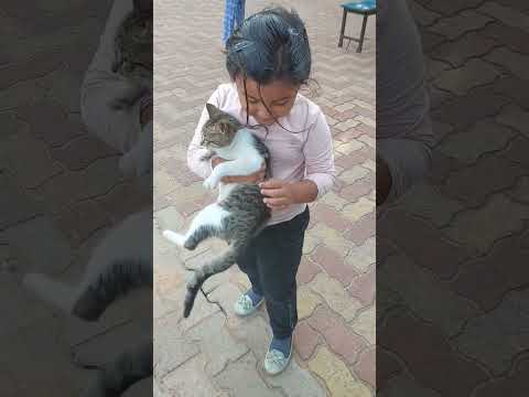 Nerissa playing with 🐈