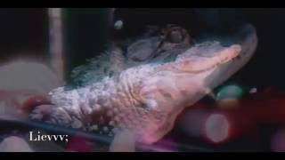 B-Brave- Klaar Voor Je Body x The Weeknd- The Hills (mashup)