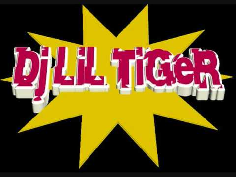 DJ Elif and DJ Lil Tiger vs Ozan - Bosuna Bosuna (The  Drill Remix )