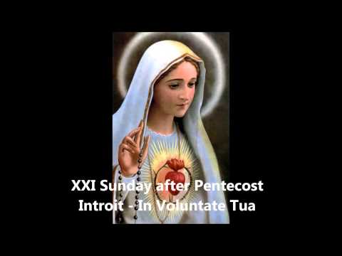 Introit for the XXI Sunday after Pentecost