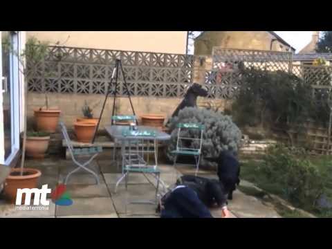 Bere responsabilmente - puntata 2