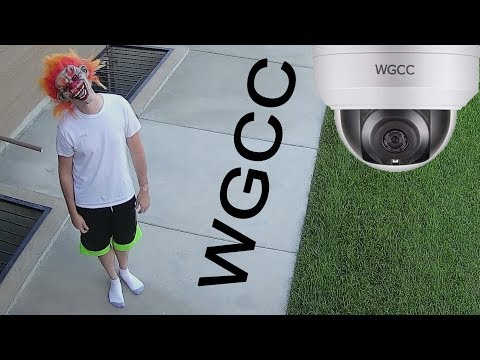 download lagu mp3 mp4 Wgcc, download lagu Wgcc gratis, unduh video klip Wgcc