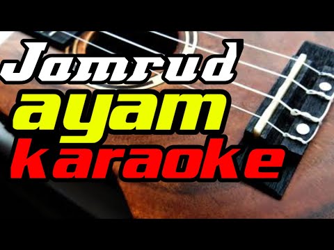 Jamrud ayam karaoke version
