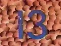 Blue Sky Background 13 Hamburgers 1991