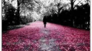 Llevamé contigo Bobby Pulido (Letra)