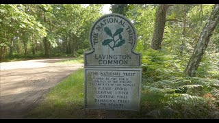 Walk around Lavington Common ~4K