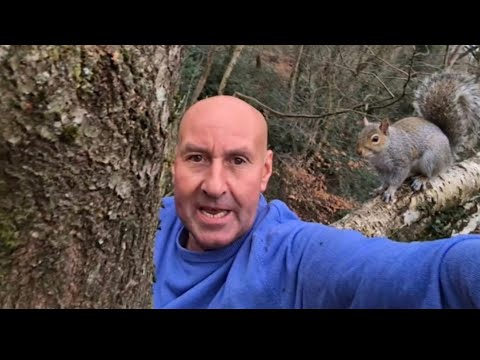 WHY HAVE I BEEN FORCED INTO CLIMBING UP THIS TREE ?