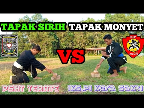download lagu mp3 mp4 Psht Vs Kera Sakti, download lagu Psht Vs Kera Sakti gratis, unduh video klip Psht Vs Kera Sakti