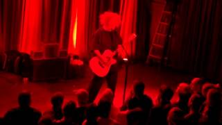 Rough Democracy - King Buzzo