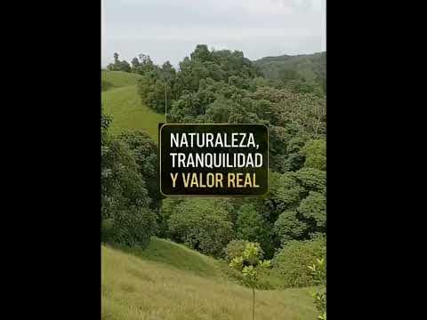 ¿Y si la mejor inversión no estuviera en la ciudad?   #REMAX #VivirEnElCampo #InvertirEnTierra